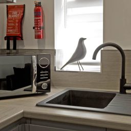 A modern kitchen  featuring a microwave and freezer.