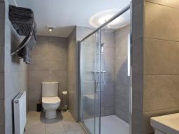 Modern bathroom featuring a shower, toilet, and grey tiled walls.