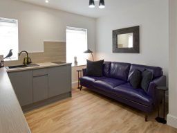 Modern living space with a purple sofa, kitchen area, and wooden flooring.