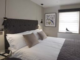 Modern room with twin beds, decorative headboard, and a window with artwork.